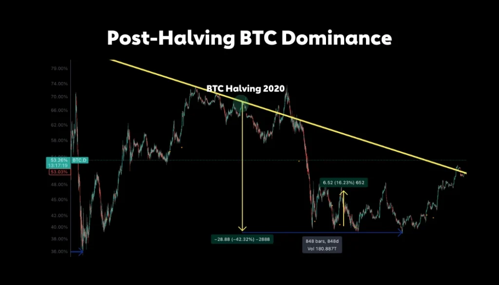 Impact of Halving on Smaller Altcoins