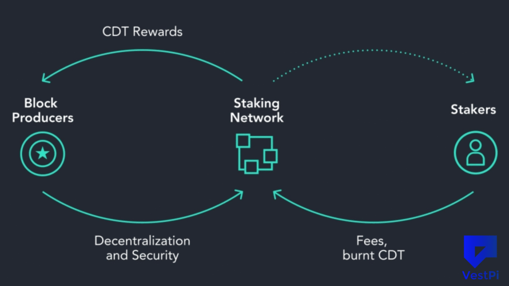 Crypto Staking Pools