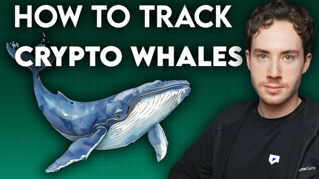 How to Track Whale Wallets and Market Movements