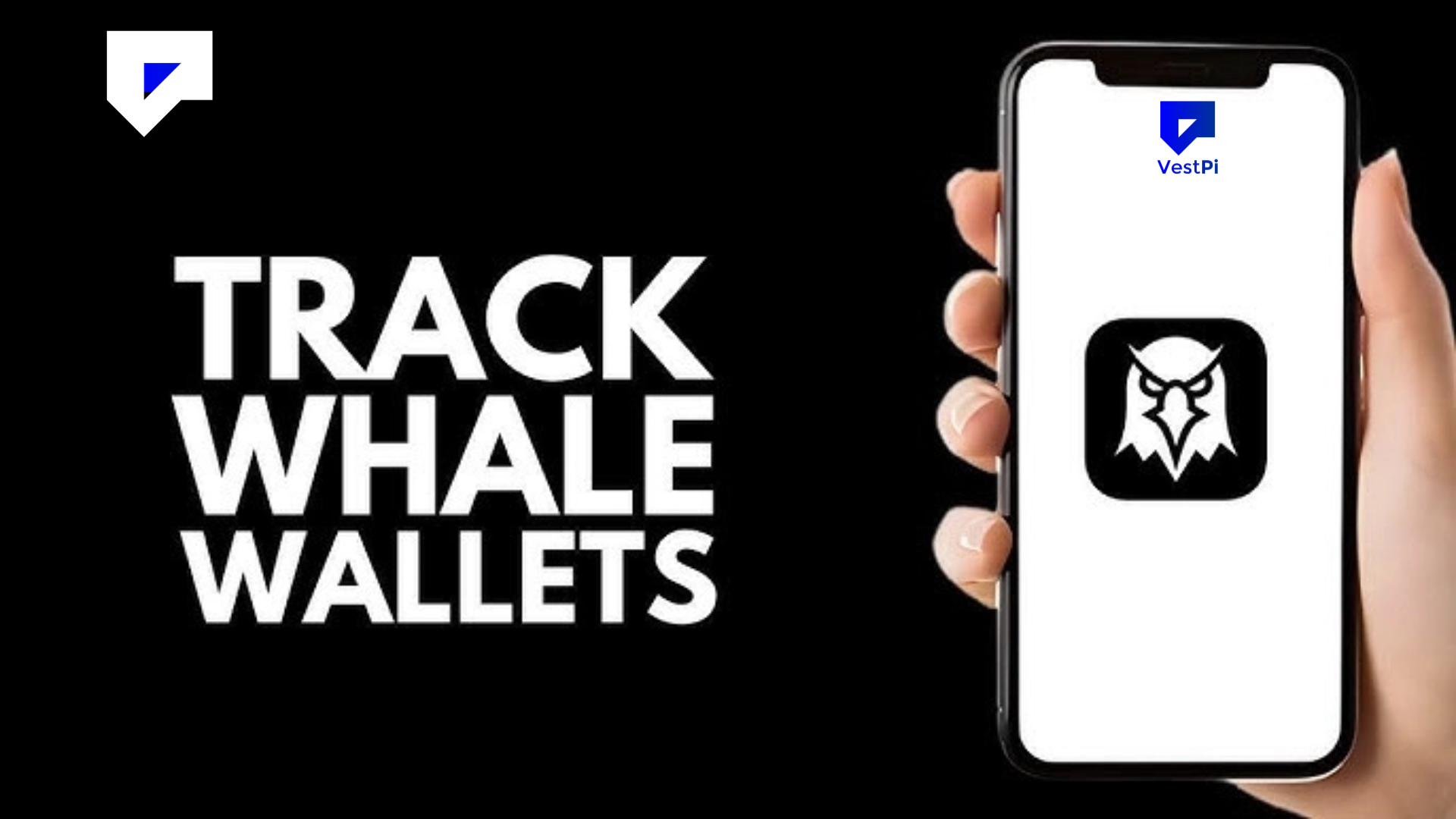 How to Track Whale Wallets and Market Movements