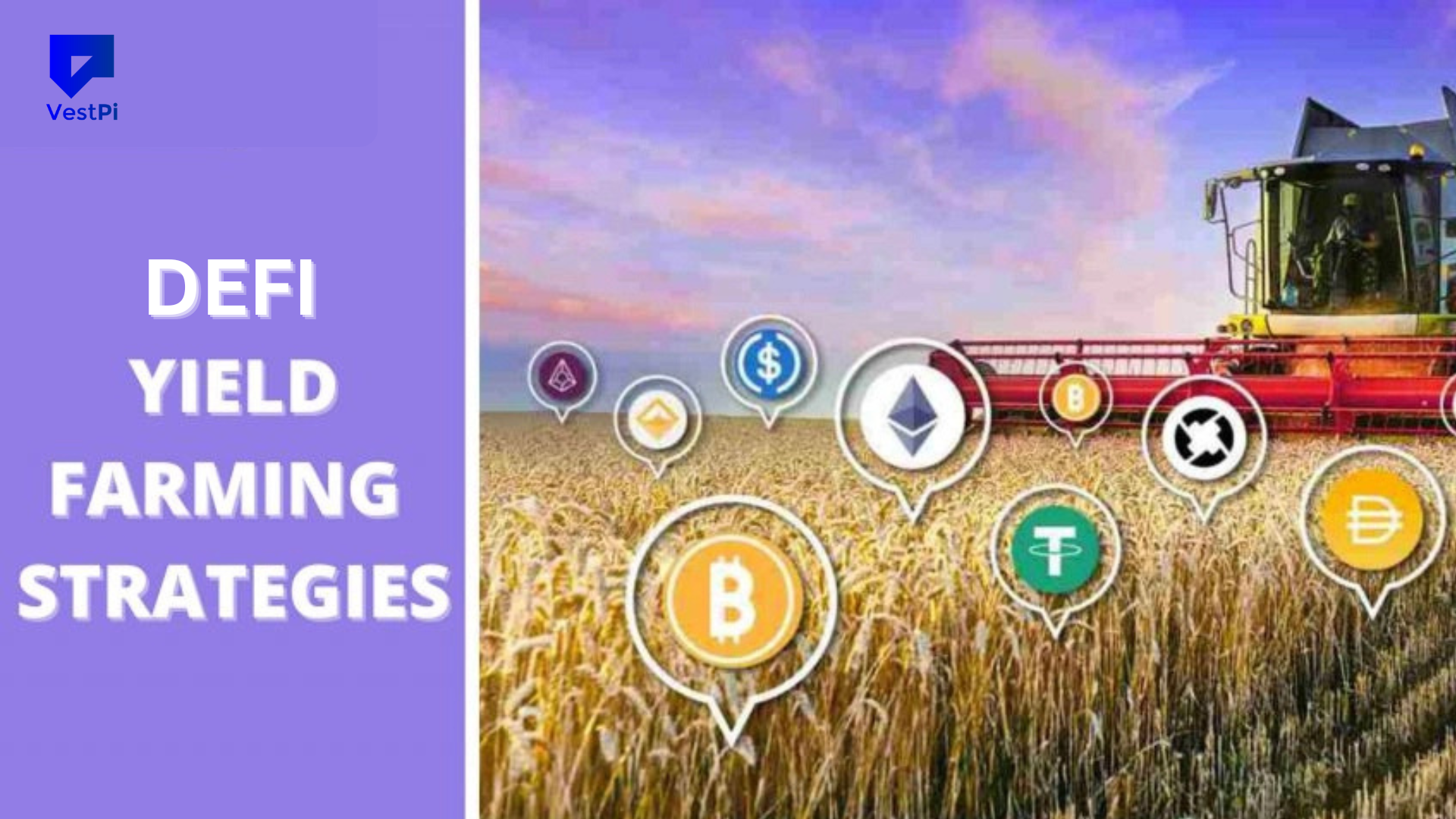 DeFi Yield Strategies: Everything You Need to Know